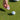 A person holding a pink custom ball marker setting it next to a golf ball on the ground. 