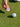 A person holding a pink custom ball marker setting it next to a golf ball on the ground. 