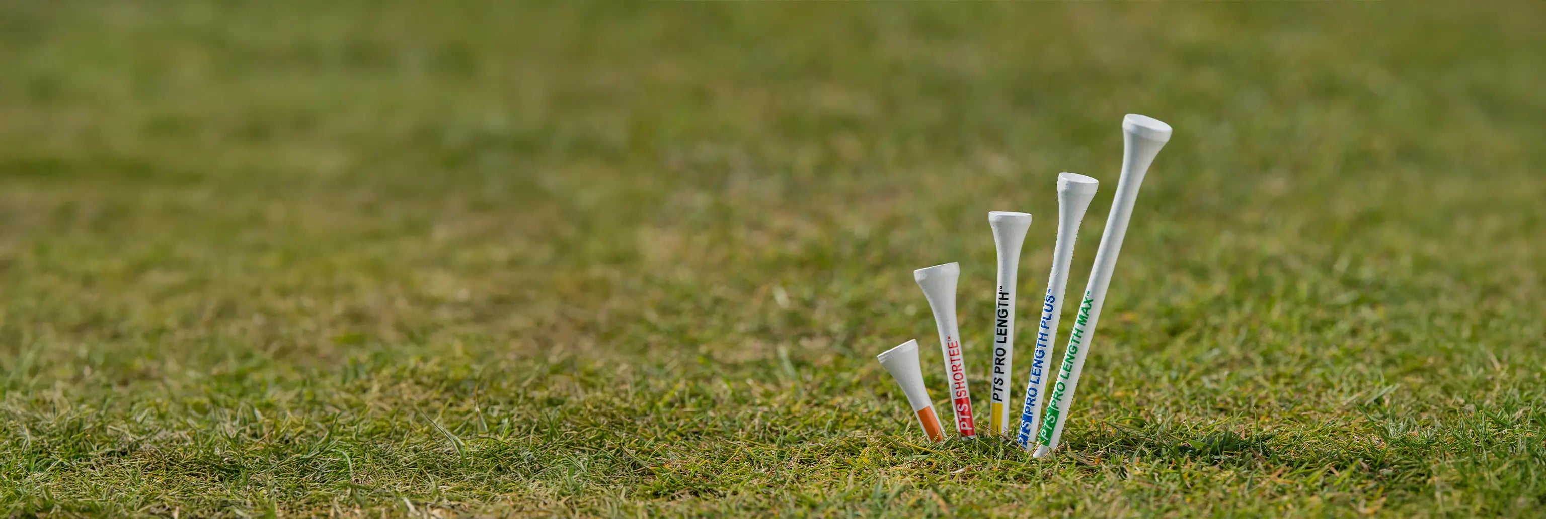 Five different PTS tee lengths inserted into green turf. 