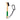 Honors Wooden Club Brush - Shamrock