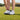 A person is cleaning white golf shoes using a Prosoft brush while standing on grass.