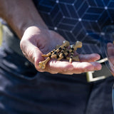 A person is holding several brown golf tees with black stripes in one hand.