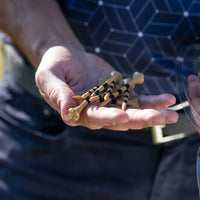 A person is holding several brown golf tees with black stripes in one hand.