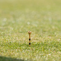 A brown golf tee with black stripes standing in grass.