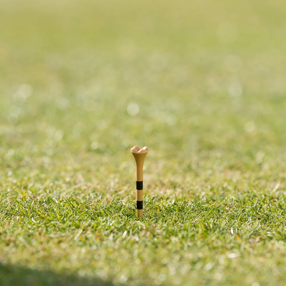 A brown golf tee with black stripes standing in grass.