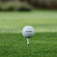Golf ball on a tee in the grass with a blurred background