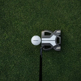 Golf putter and ball on a green putting surface