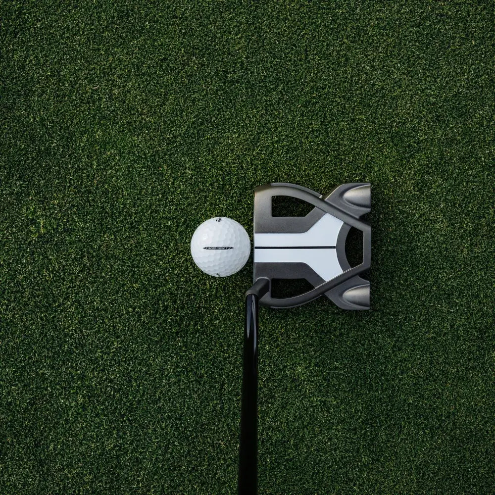 Golf putter and ball on a green putting surface