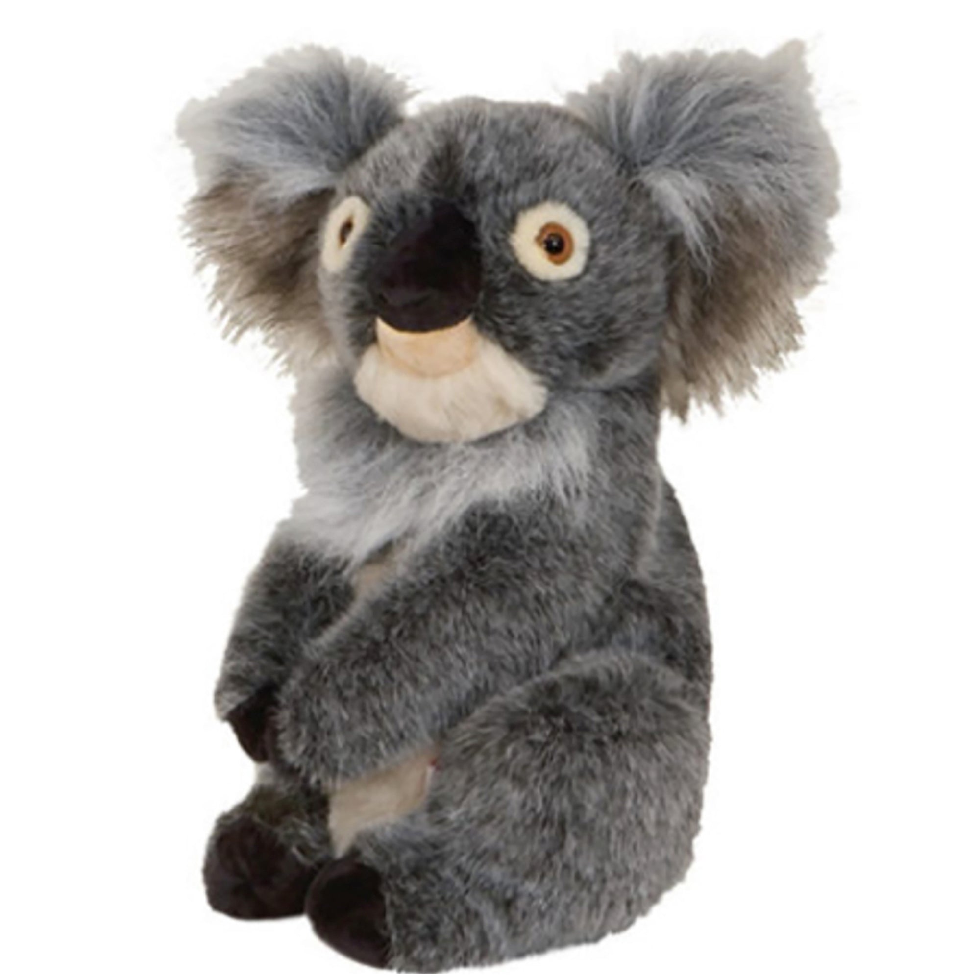 Daphne's Koala Headcover